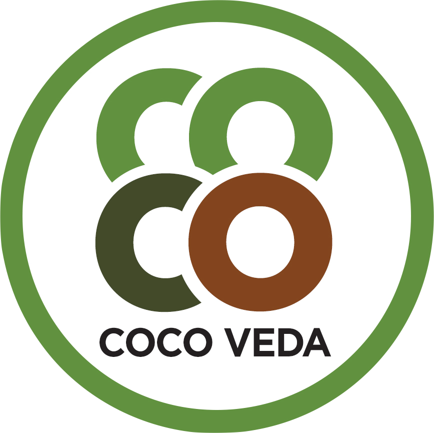 CV Logo